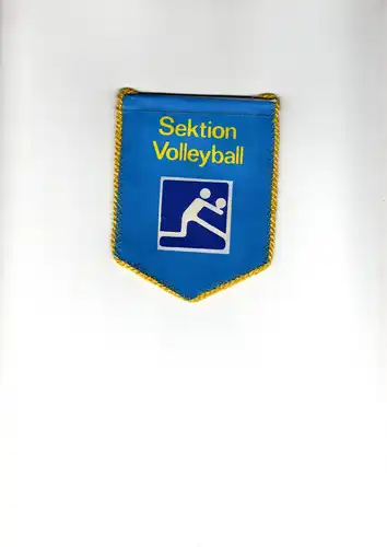 Wimpel SC Traktor Schwerin Sektion Volleyball