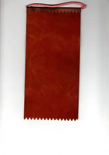 Wimpel Polen Sportschule Bydgoszcz