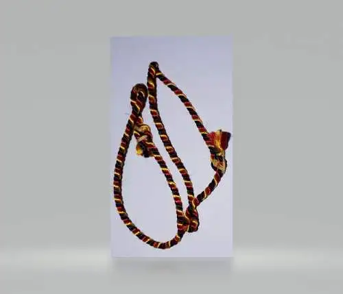 Bundeswehr Litze Reservist