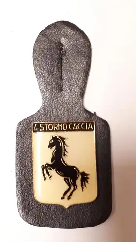 Brustanhänger 4. Luftgeschwader der italienischen Streitkräfte