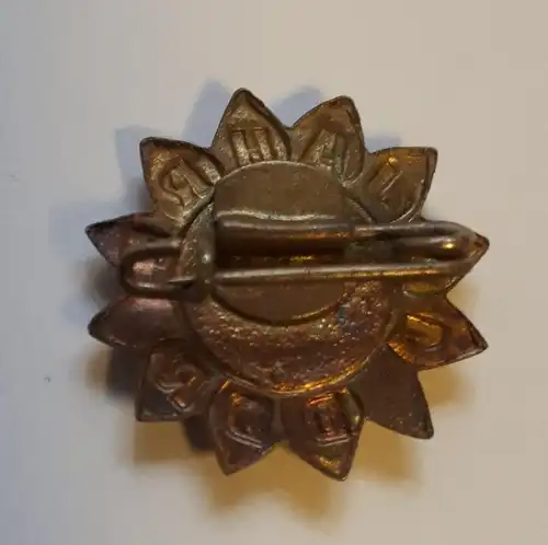 DDR Abzeichen Anstecker 12 Jahre DDR