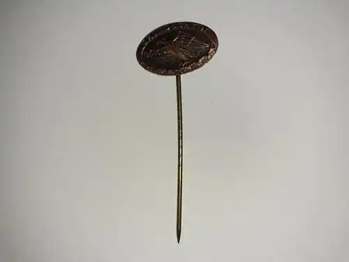 DLRG Anstecknadel Grundschein in Bronze