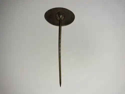 DLRG Anstecknadel Grundschein in Bronze