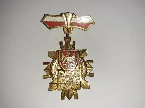 Polen Anhänger Abzeichen Za Zaslugi Dla Wojew Warszawskiego