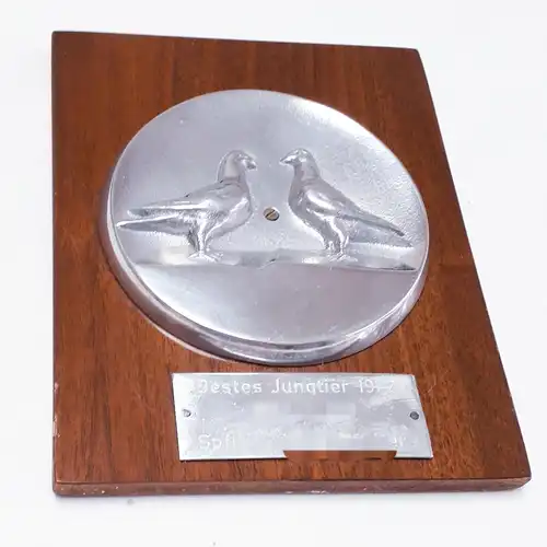 Taubenzucht Auszeichnung Bestes Jungtier 1972