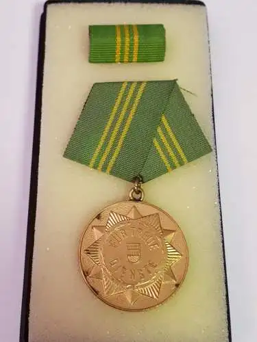 DDR MdI Volkspolizei Medaille Für treue Dienste in Gold