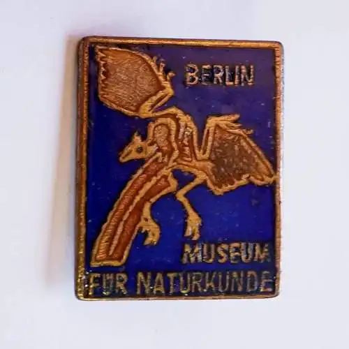 Anstecker Museum für Naturkunde Berlin