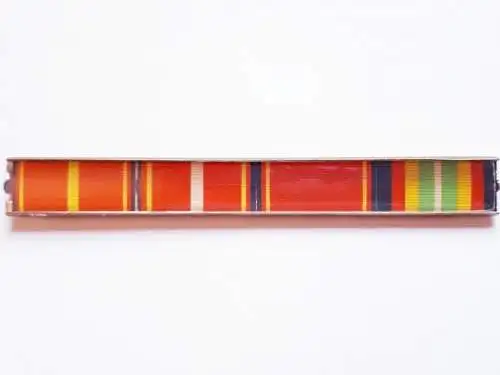 DDR NVA Interimsspange