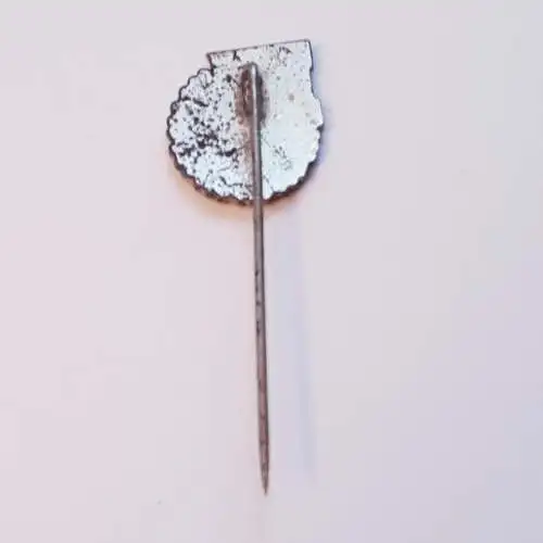 DDR DRSV Deutscher Radsport Verband der DDR Ehrennadel