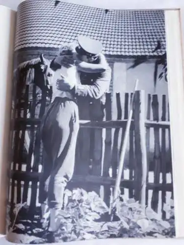 Immer gefechtsbereit. 