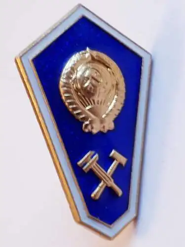 UDSSR Absolventenabzeichen der Technikschule