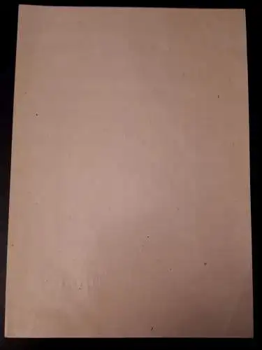 Deutsche Lokalausgabe 1946 Blockausgabe Stadt Strausberg Block 2 Typ I