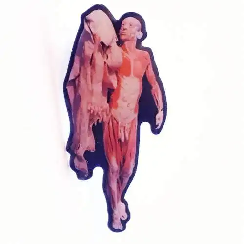 Pin Anstecker Körperwelten