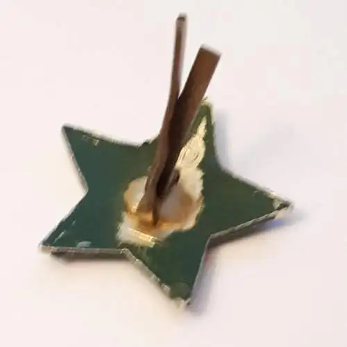 UDSSR Abzeichen Pin Stern
