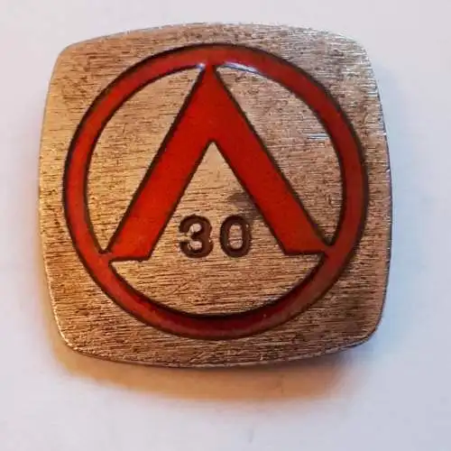 Anstecker Japan Weltkonferenz gegen Atom- und Wasserstoffbomben