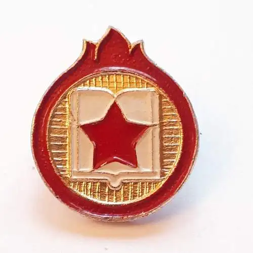 Anstecker Tschechoslowakei Kinderorganisation Jiskry