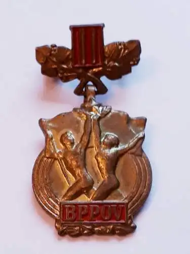 Anstecker Tschechien Bereit zur Arbeit und Verteidigung der Heimat