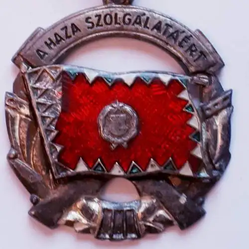 Anhänger Ungarn Für den Dienst um das Vaterland