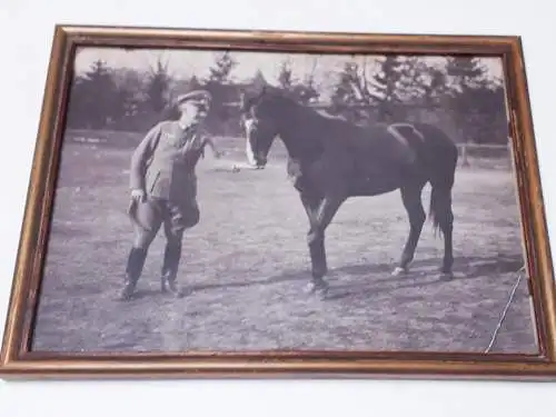 Foto Wehrmacht Major mit Pferd