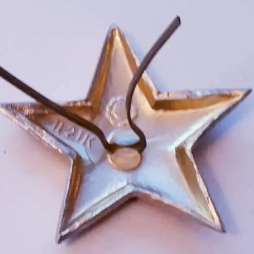 UDSSR Abzeichen Pin Roter Stern