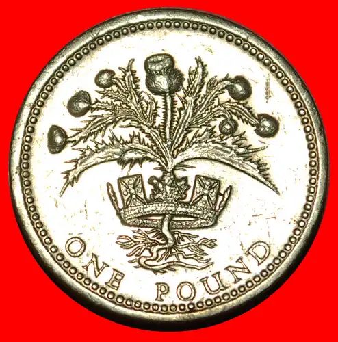 * DISTEL: GROSSBRITANNIEN 1 PFUND 1984!  * THISTLE: GREAT BRITAIN ★ 1 POUND 1984!