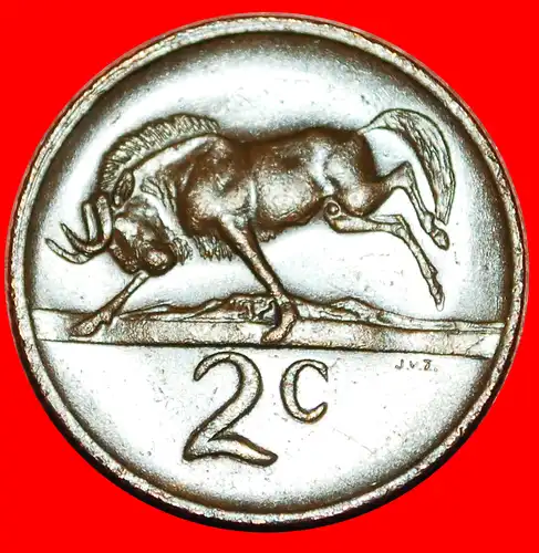 * GNU: SÜDAFRIKA  ★ 2 CENTS 1976 Fouche (1968-1975)! * WILDEBEEST: SOUTH AFRICA