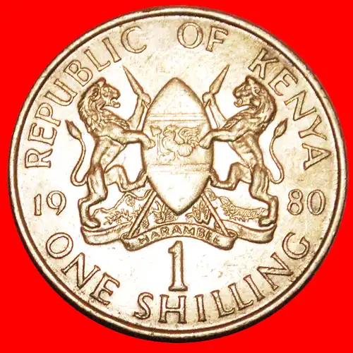 * HANN (1978-1989): KENIA ★ 1 SHILLING 1980!  *  KENYA