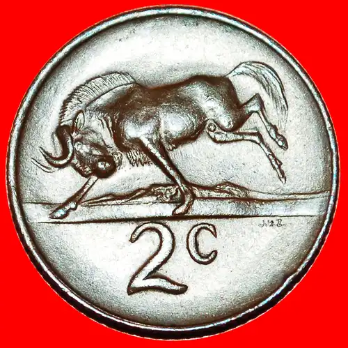 * ENTDECKUNG MÜNZE ENGLISCHE LEGENDE mit GNUS: SÜDAFRIKA ★ 2 CENTS 1966! * DISCOVERY: SOUTH AFRICA