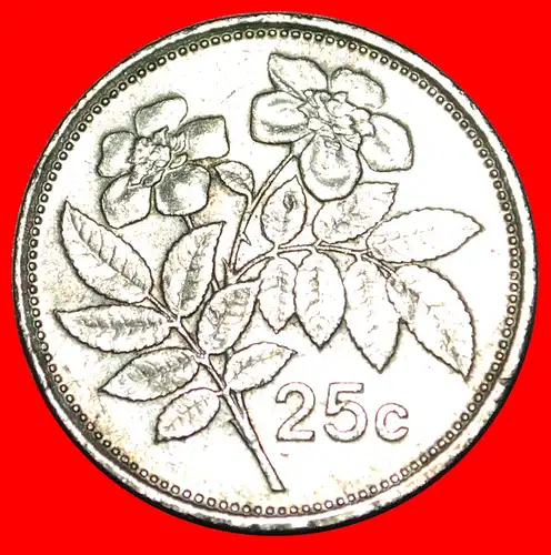 * ROSE (1991-2007): MALTA ★ 25 CENTS 1991!