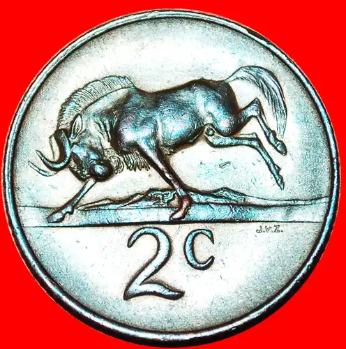 * AFRIKAANISCHES LEGENDE mit GNUS: SÜDAFRIKA ★ 2 CENTS 1966 STEMPEL A! * AFRIKAANS LEGEND: SOUTH AFRICA