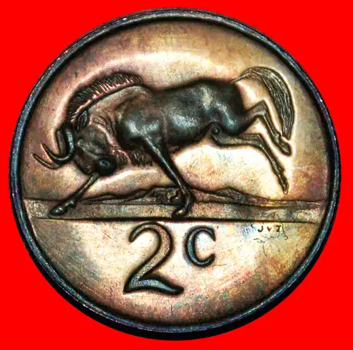 * GNU: SÜDAFRIKA ★ 2 CENTS 1979 Diederichs (1903-1978) STEMPEL A! uSTG STEMPELGLANZ! * WILDEBEEST: SOUTH AFRICA