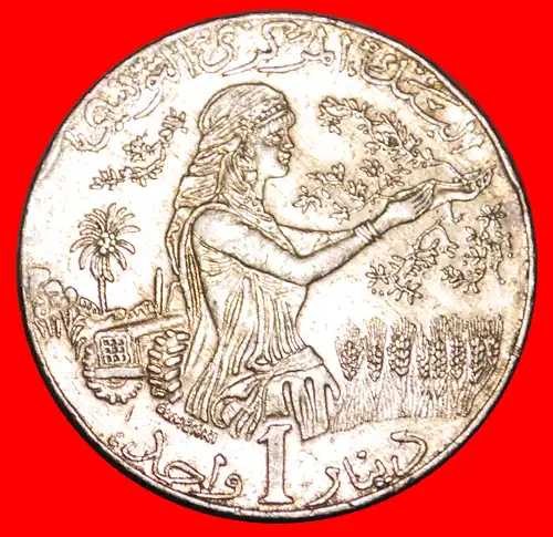 * ENTDECKUNG MÜNZE FAO SCHIFF: TUNESIEN ★ 1 DINAR 1416-1996! * DISCOVERY COIN: TUNISIA 