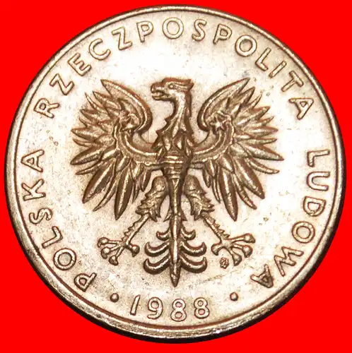 * STERNE AUF ADLER: POLEN ★ 20 ZLOTY 1988! *  POLAND