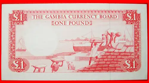 * SCHIFF UND KROKODIL: GAMBIA ★ 1 PFUND (1965-1970)! KFR KNACKIG! SELTEN! * SHIP AND CROCODILE: GAMBIA ★ 1 POUND (1965-1970)! UNC CRISP! RARE!