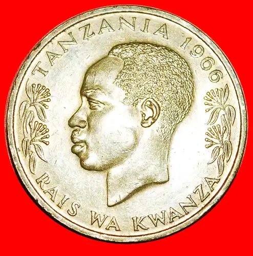 * VOGEL (1966-1984): TANSANIA ★ 20 SENTI 1966! *  TANZANIA 