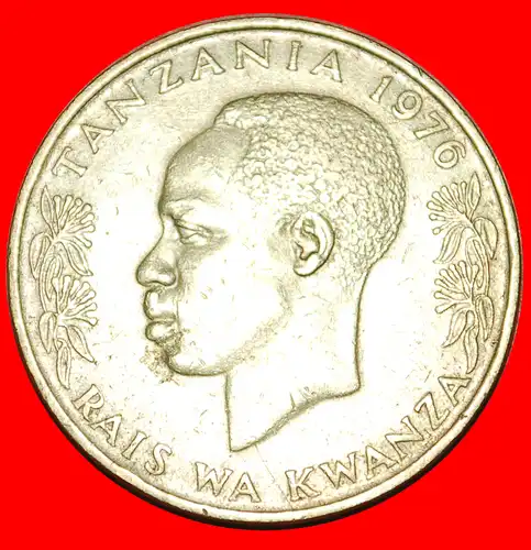 * VOGEL (1966-1984): TANSANIA ★ 20 SENTI 1976! *  TANZANIA 