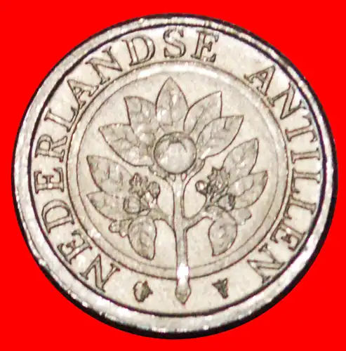 * APFELSINE UND MUSCHELN (1989-2016): NIEDERLANDE ANTILLEN ★ 1 CENT 2001 STG STEMPELGLANZ!  * NETHERLANDS ANTILLES