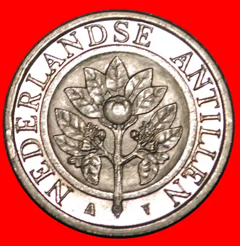 * APFELSINE UND MUSCHELN (1989-2016): NIEDERLANDE ANTILLEN ★ 25 CENTS 2014 STG STEMPELGLANZ!     * NETHERLANDS ANTILLES