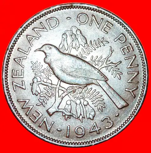 * VOGEL und BLUMEN: NEUSEELAND ★ PENNY 1943! KRIEGSZEIT (1939-1945)! GEORG VI. (1937-1952) * NEW ZEALAND 