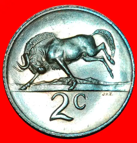 * AFRIKAANISCHES LEGENDE mit GNUS: SÜDAFRIKA ★ 2 CENTS 1965 STEMPEL A! * AFRIKAANS LEGEND: SOUTH AFRICA ★