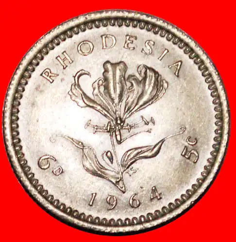 * GROSSBRITANNIEN DOPPELTE WERT: RHODESIEN ★ 6 PENCE - 5 CENTS 1964! uSTG STEMPELGLANZ! * GREAT BRITAIN : RHODESIA 