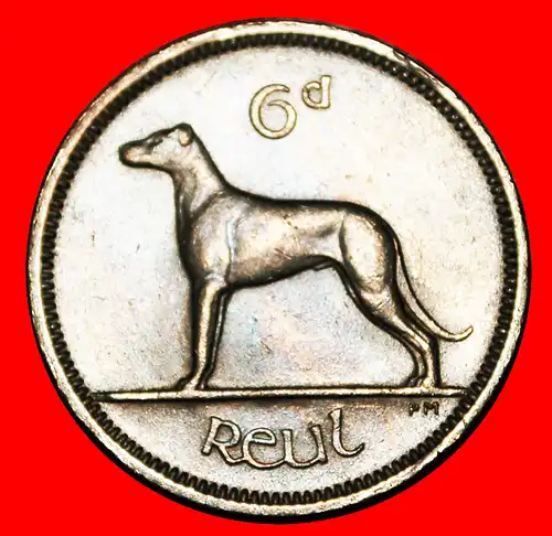 * GROSSBRITANNIEN: IRLAND ★ 6 PENCE 1963! IRISCHER WOLFSHUND!   * GREAT BRITAIN: IRELAND ★ IRISH WOLFHOUND! 