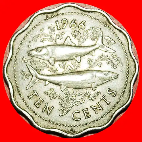 * GROSSBRITANNIEN (1966-1970): BAHAMAS ★ 10 CENTS 1966! FISCHE  * GREAT BRITAIN: THE BAHAMAS ★