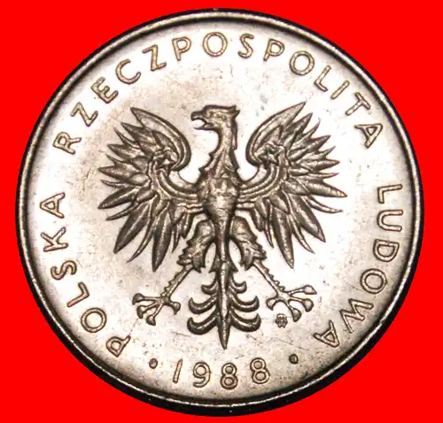 * SOZIALISTISCHE STERNE AUF ADLER: POLEN ★ 10 ZLOTY 1988! *  POLAND ★  