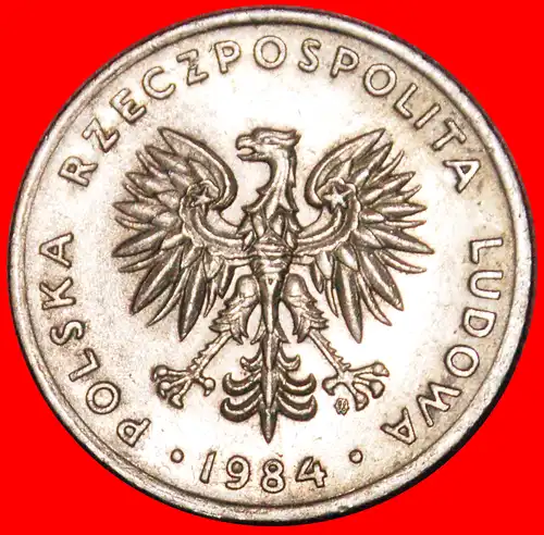 * SOZIALISTISCHE STERNE AUF ADLER: POLEN ★ 20 ZLOTY 1984! *  POLAND ★  