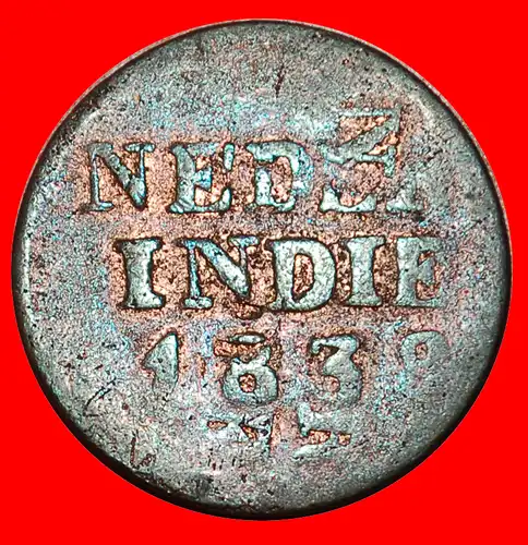  LÖWE (1833-1840): NIEDERLÄNDISCH-INDIEN ★ FEHLER 1 CENT 1838!  * NETHERLANDS EAST INDIES ★ ERROR 