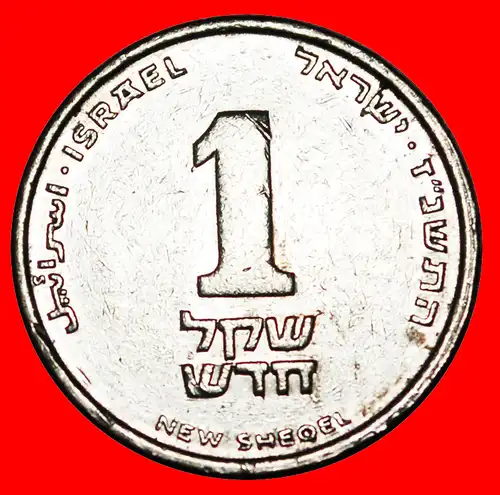 * LILIE (1994-2017): PALÄSTINA (israel) ★ 1 NEUE SCHEKEL 5757 (1997) ENTDECKUNG MÜNZE! NIEDERLANDE! * DISCOVERY COIN: PALESTINE★ NETHERLANDS! 