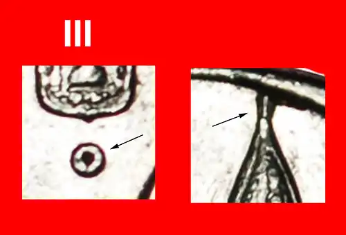 * LILIE (1994-2017): PALÄSTINA (israel) ★ 1 NEUE SCHEKEL 5757 (1997) ENTDECKUNG MÜNZE! NIEDERLANDE! * DISCOVERY COIN: PALESTINE★ NETHERLANDS! 