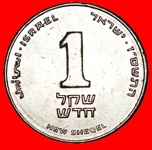 * LILIE (1994-2017): PALÄSTINA (israel) ★ 1 NEUE SCHEKEL 5767 (2007) ENTDECKUNG MÜNZE! VZGL STEMPELGLANZ! * DISCOVERY COIN: PALESTINE★  