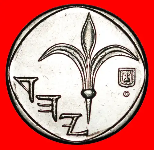 * LILIE (1994-2017): PALÄSTINA (israel) ★ 1 NEUE SCHEKEL 5767 (2007) ENTDECKUNG MÜNZE! VZGL STEMPELGLANZ! * DISCOVERY COIN: PALESTINE★  